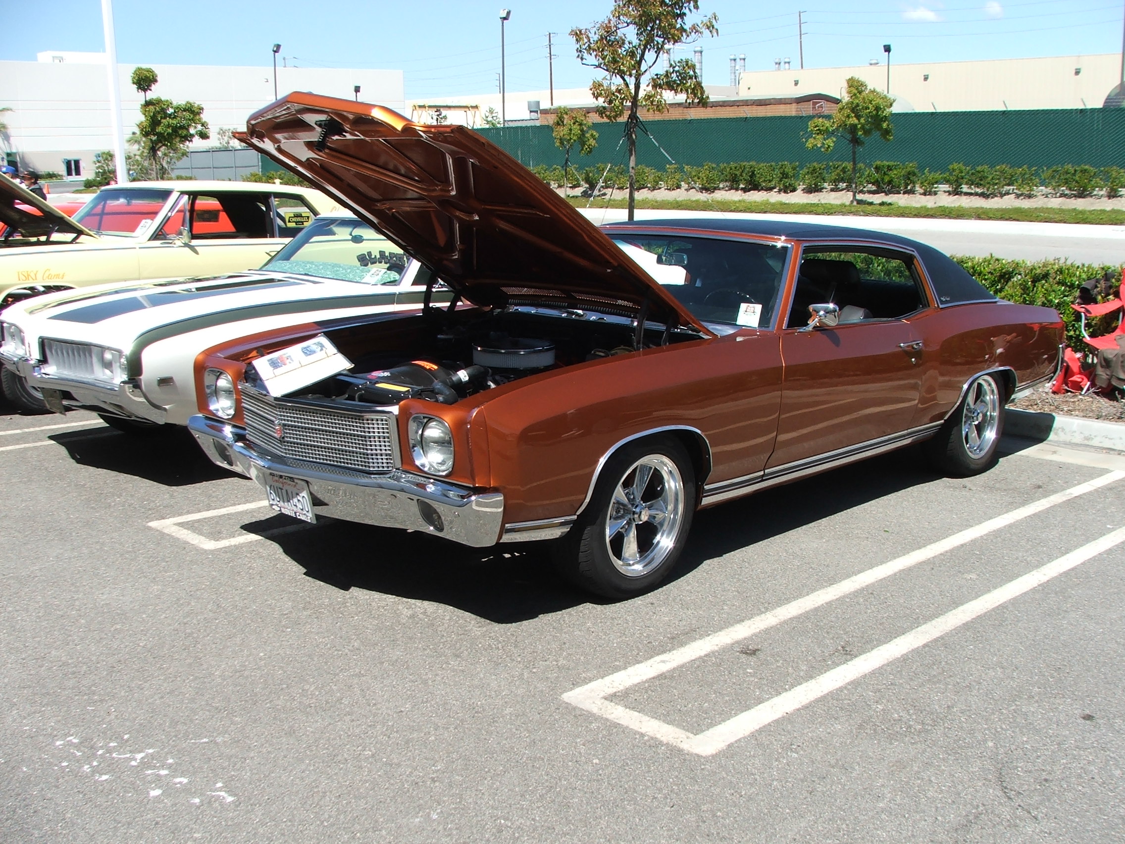 OPGI car show 15